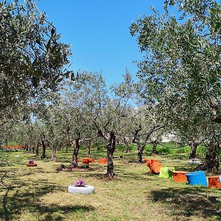 Colline Del Sole Bed & Breakfast San Salvo Exterior foto