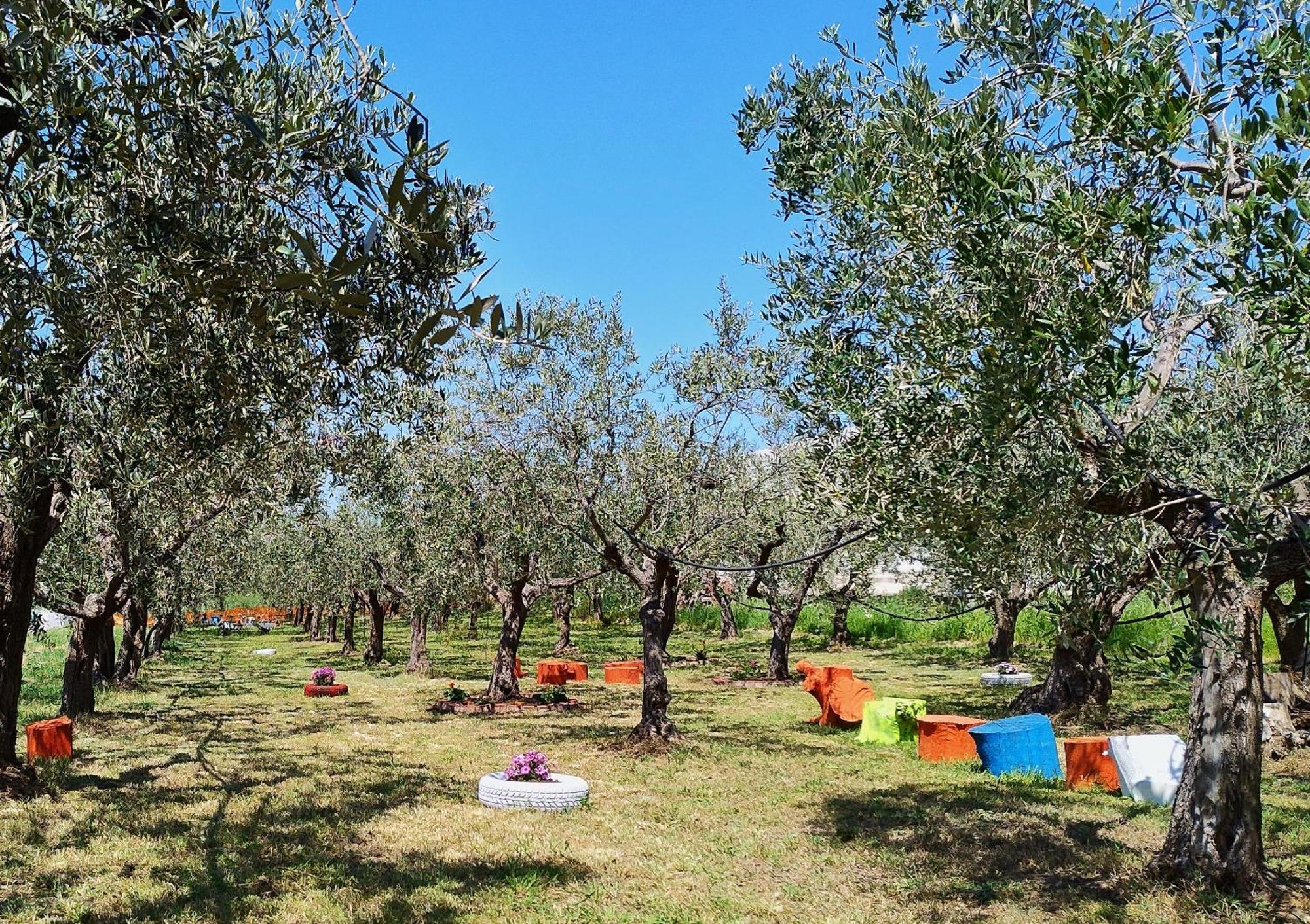 Colline Del Sole Bed & Breakfast San Salvo Exterior foto